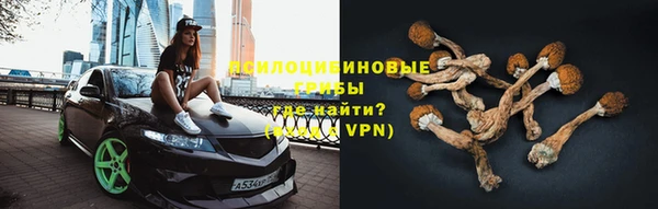 прущие крисы Алзамай