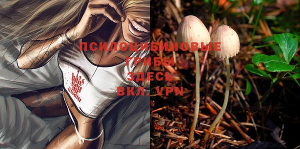 тгк Абинск