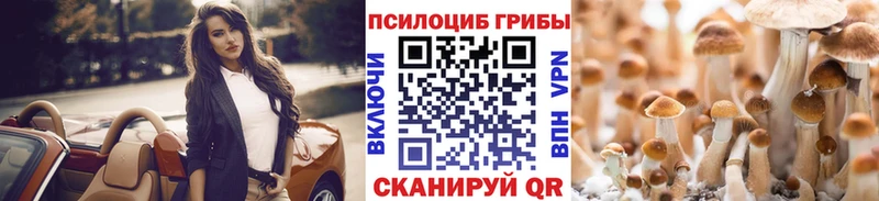 Псилоцибиновые грибы мухоморы  blacksprut онион  Хабаровск  даркнет сайт 