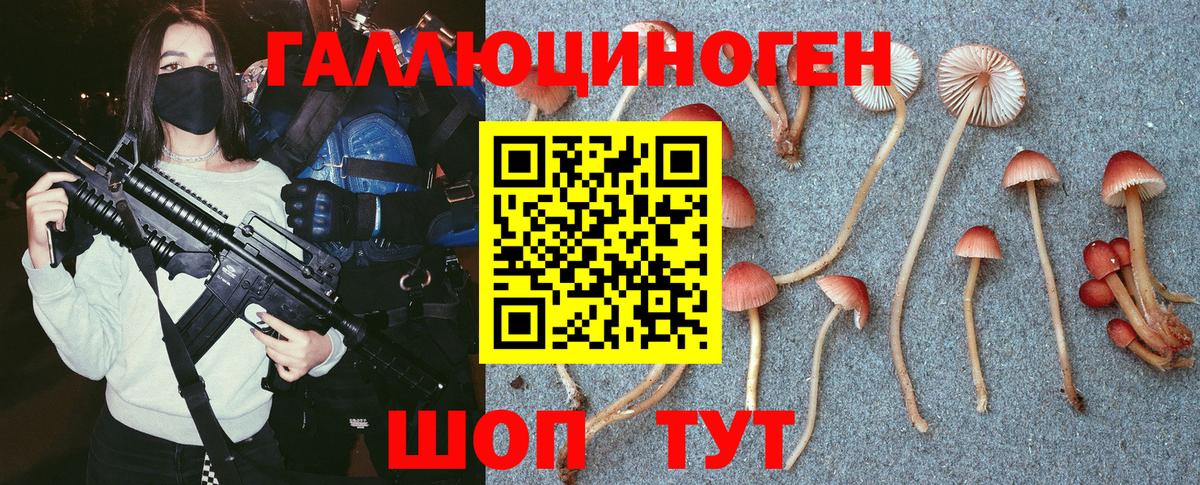 Псилоцибиновые грибы Cubensis Хабаровск