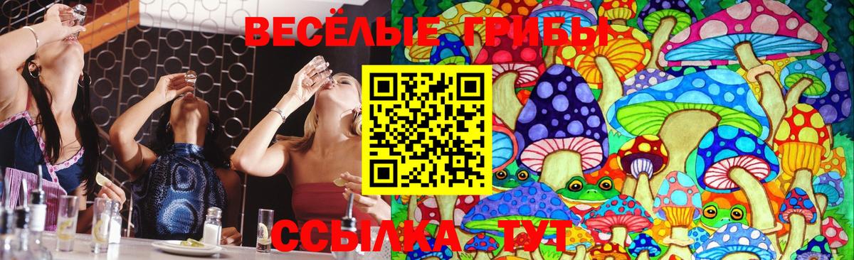 Хабаровск  Псилоцибиновые грибы Magic Shrooms  Вход с VPN 